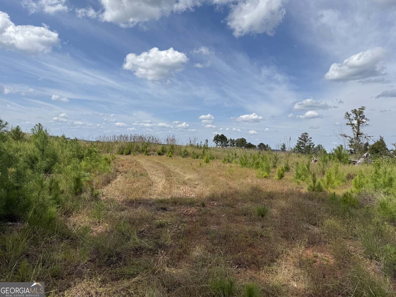 1490 Myricks Mill Road Jeffersonville, GA 31044 - Photo 12 of 14 a view of a lake