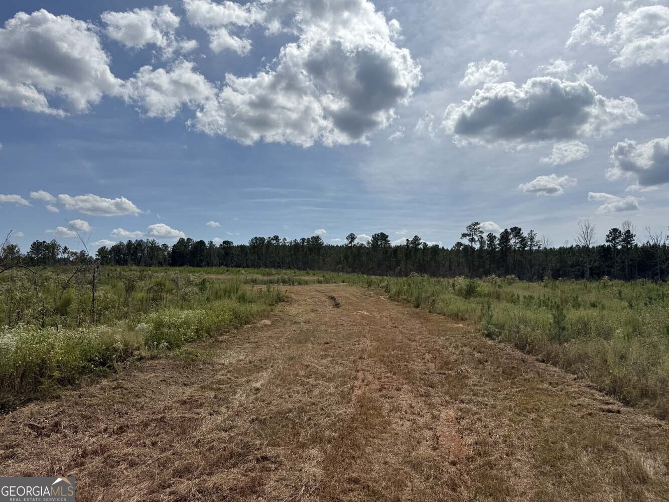 1490 Myricks Mill Road Jeffersonville, GA 31044 - Photo 3 of 14 a view of lake with mountain