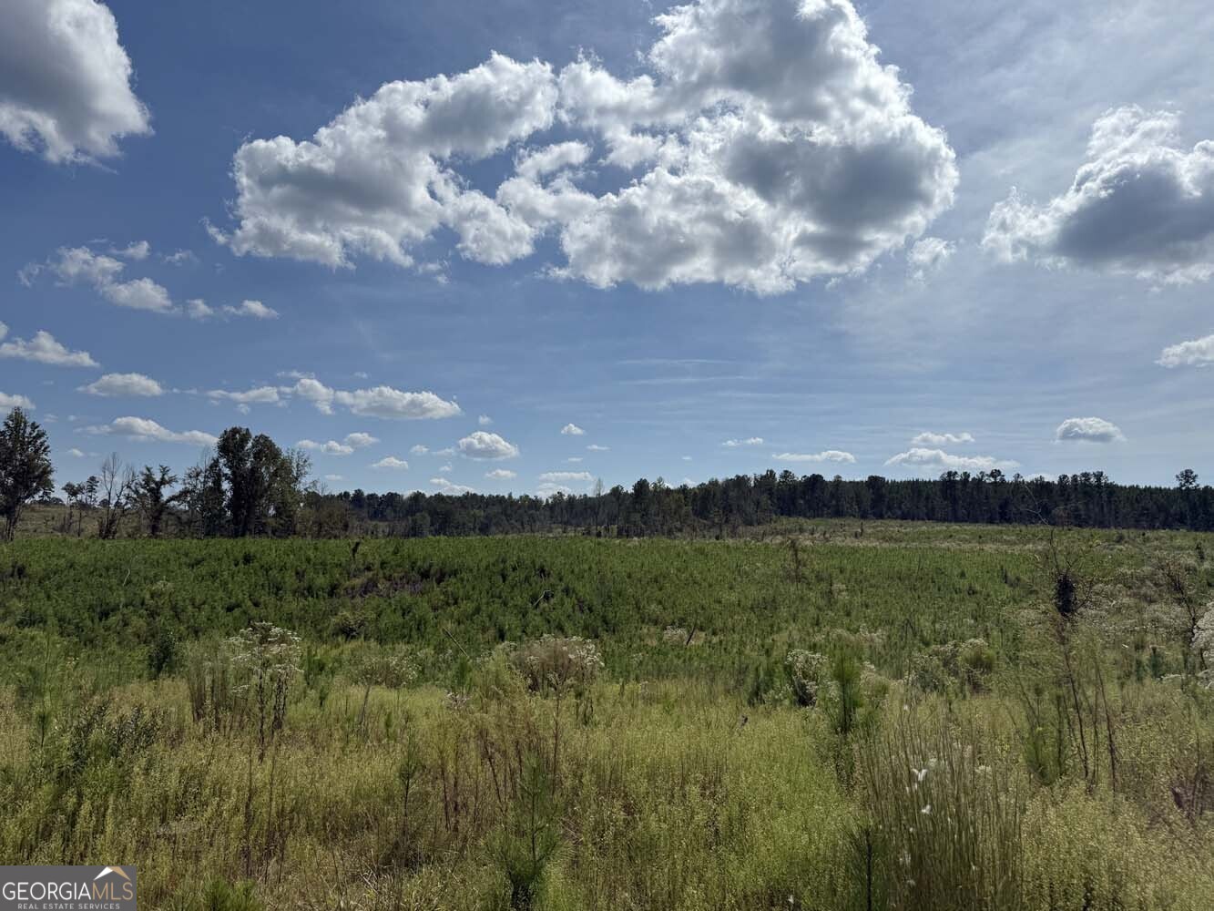 1490 Myricks Mill Road Jeffersonville, GA 31044 - Photo 4 of 14 a view of a lake and green valley