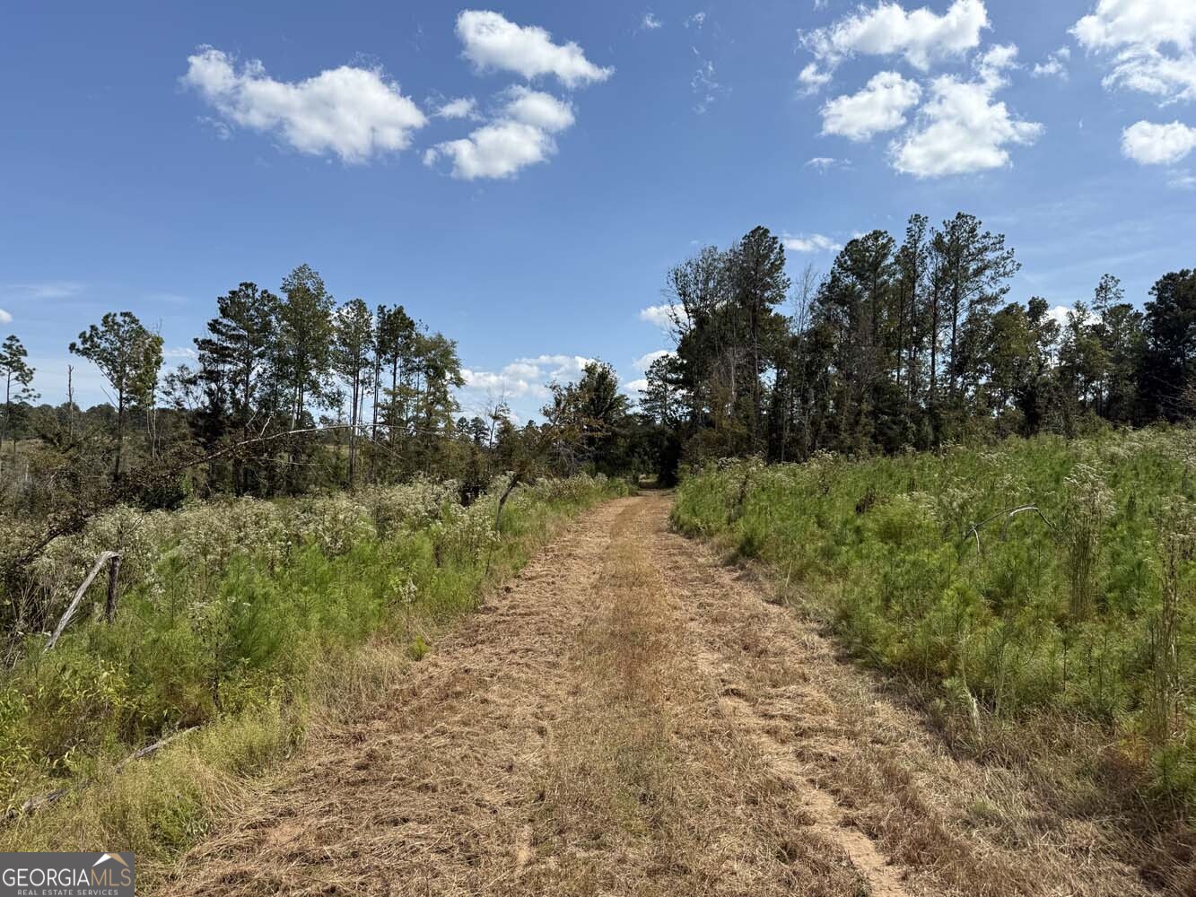 1490 Myricks Mill Road Jeffersonville, GA 31044 - Photo 6 of 14 a view of a yard in front of house
