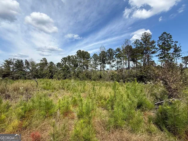 a view of a lake in middle of forest