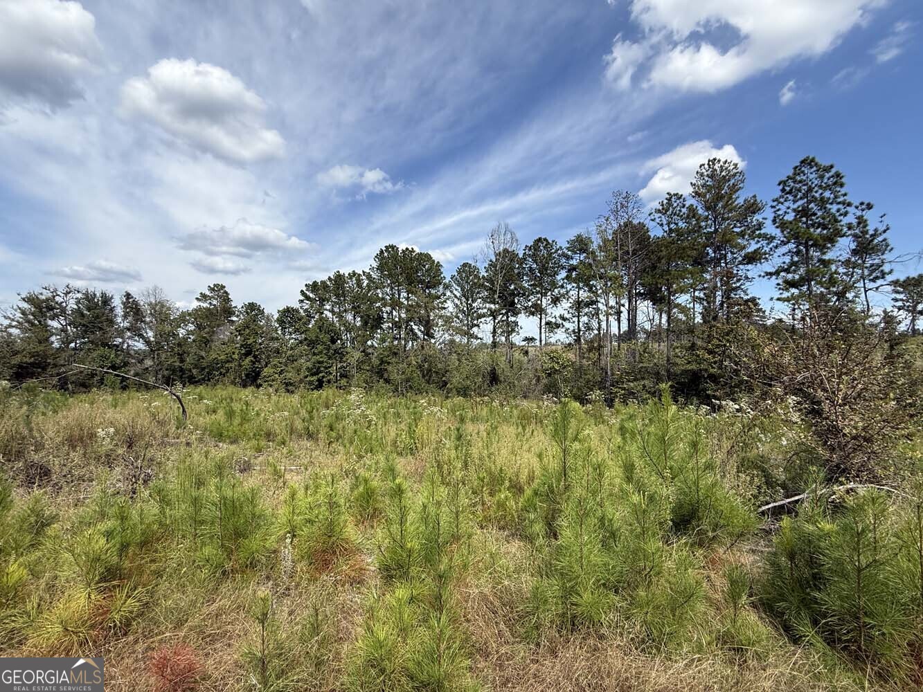 1490 Myricks Mill Road Jeffersonville, GA 31044 - Photo 8 of 14 a view of a lake in middle of forest