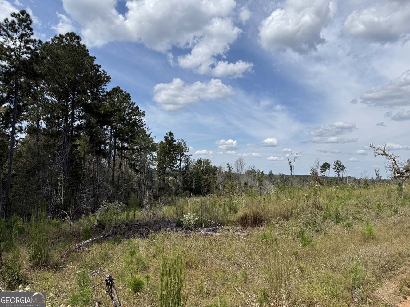 1490 Myricks Mill Road Jeffersonville, GA 31044 - Photo 9 of 14 a view of a lake with lots of green space