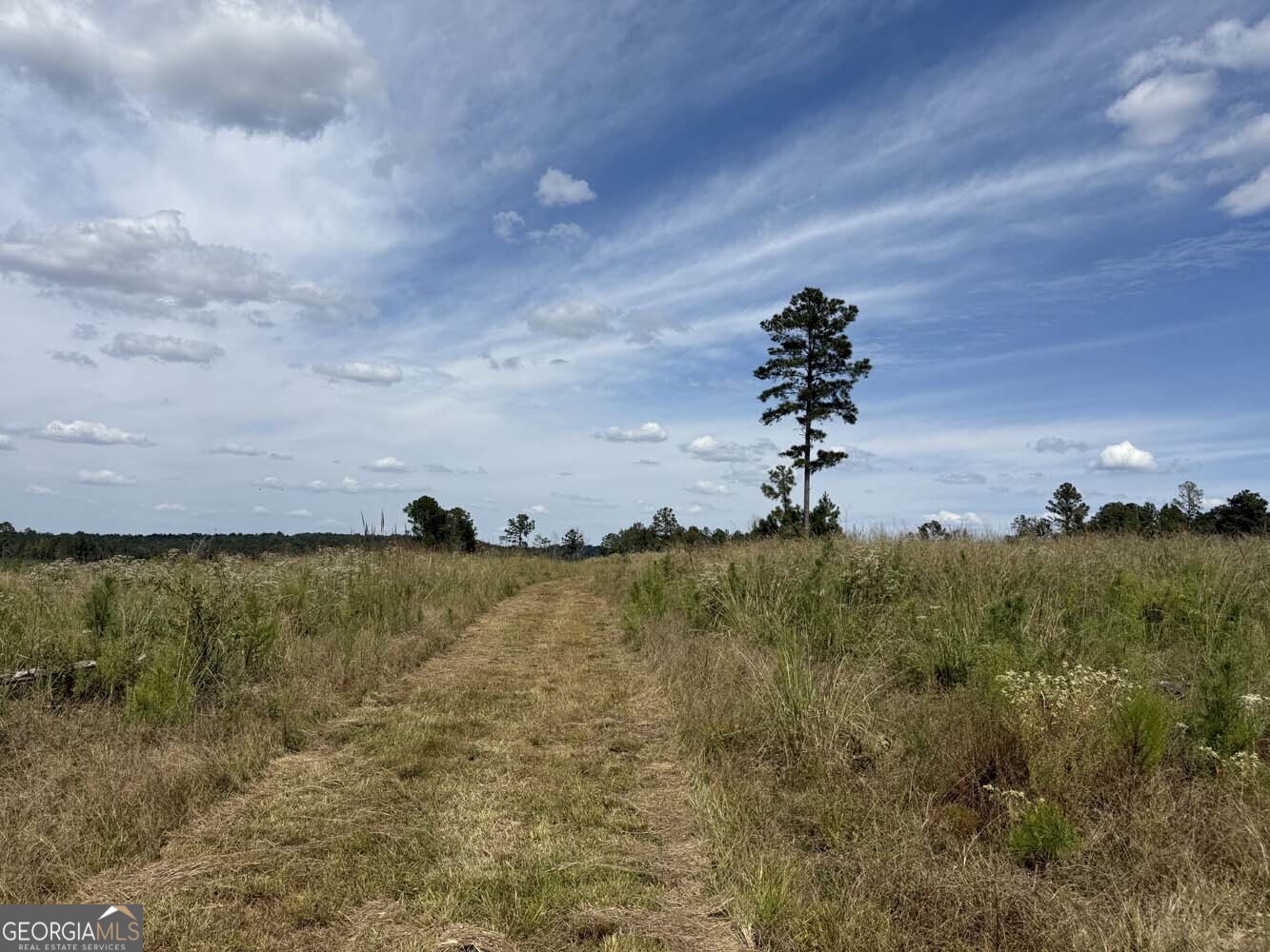 1490 Myricks Mill Road Jeffersonville, GA 31044 - Photo 10 of 14 a view of a lake