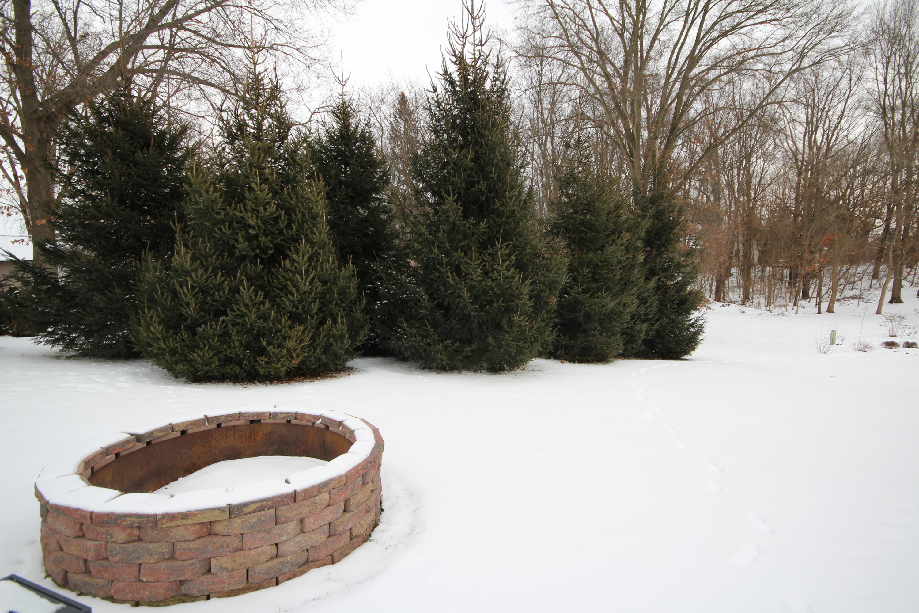 52117 Nancy Lane Three Rivers, MI 49093 - Photo 41 of 42 41