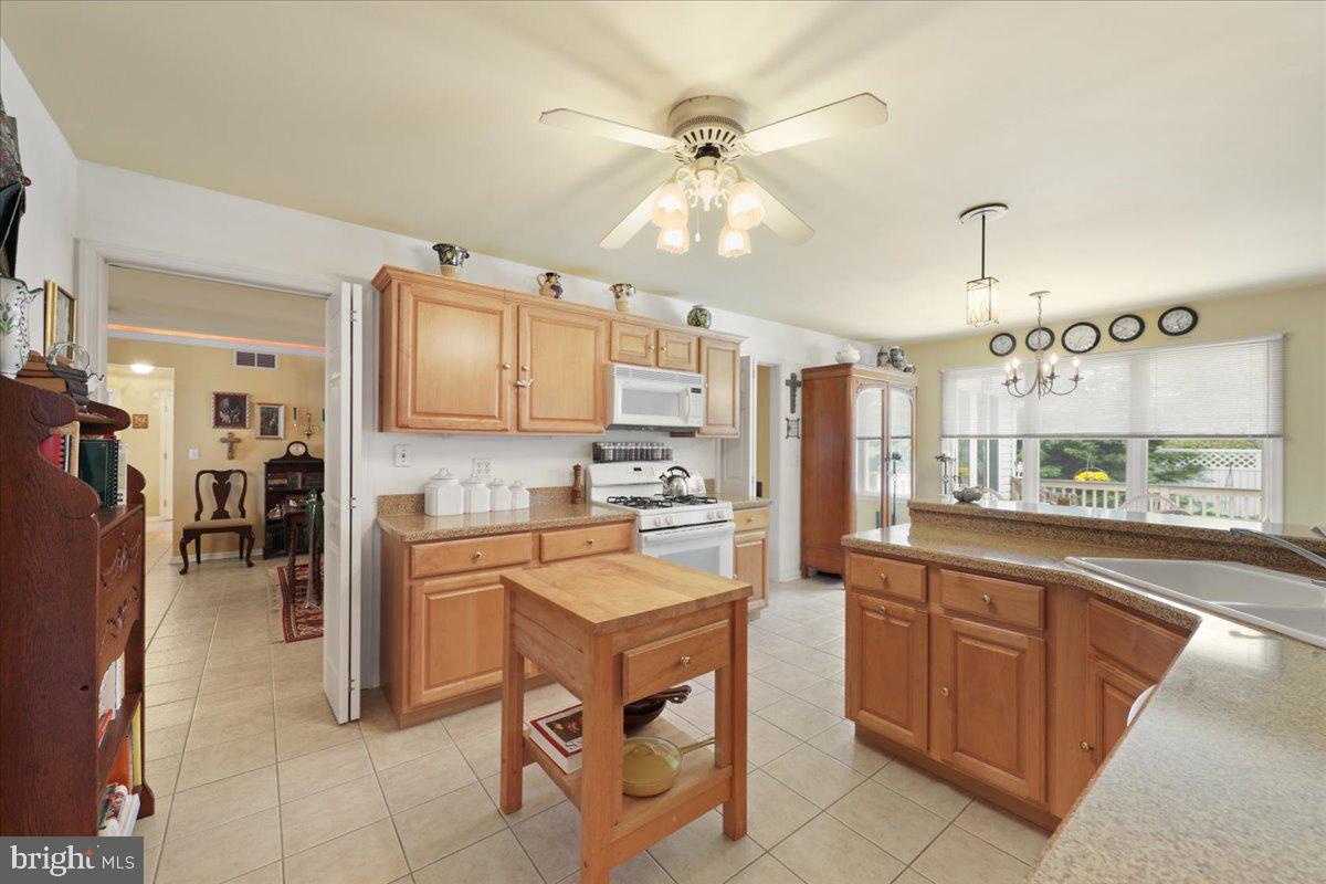 7 Somerset Road Rehoboth Beach, DE 19971 - Photo 19 of 38 Gallery Image 19
