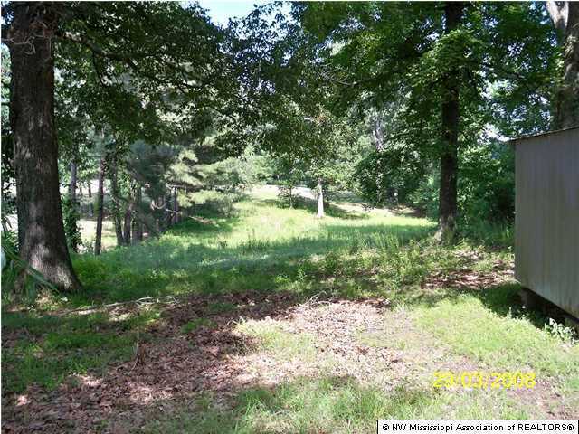2518 Horn Lake Road Nesbit, MS 38651 - Photo 25 of 26 Additional Photo
