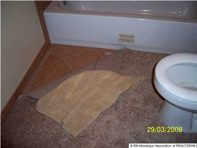 2518 Horn Lake Road Nesbit, MS 38651 - Photo 9 of 26 Additional Photo