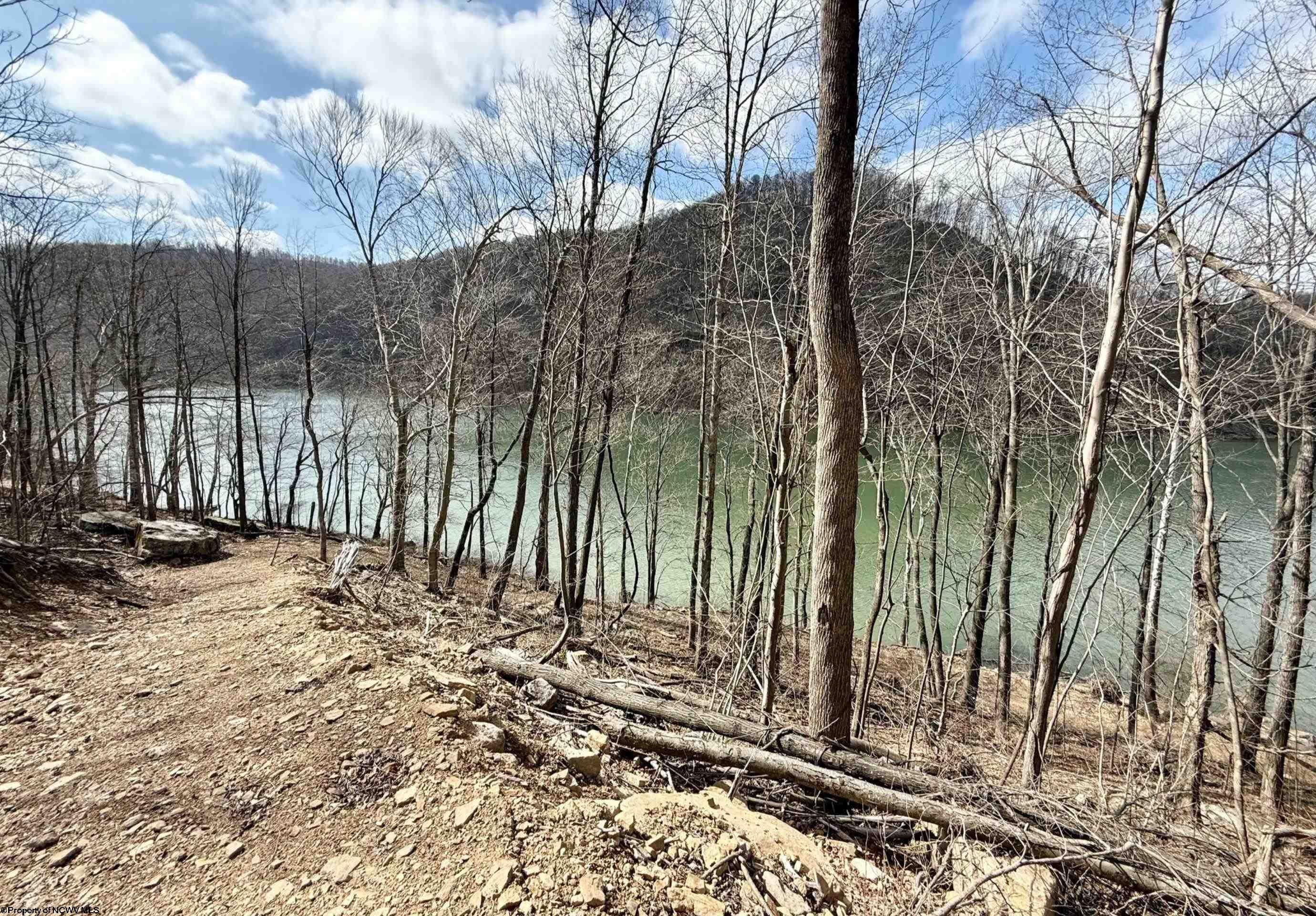 Lot 7 Brooklyn Road Parsons, WV 26287 - Photo 4 of 12 Gallery Image 4