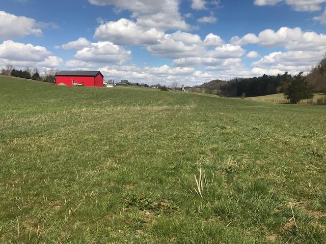 1200 V I Ranch Road Bristol, TN 37620 - Photo 5 of 21 IMG_8328