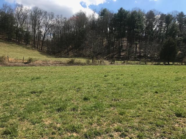 1200 V I Ranch Road Bristol, TN 37620 - Photo 8 of 21 IMG_8324