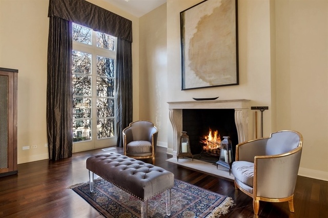 1939 North Howe Street Chicago, IL 60614 - Photo 17 of 54 a living room with furniture and a fireplace