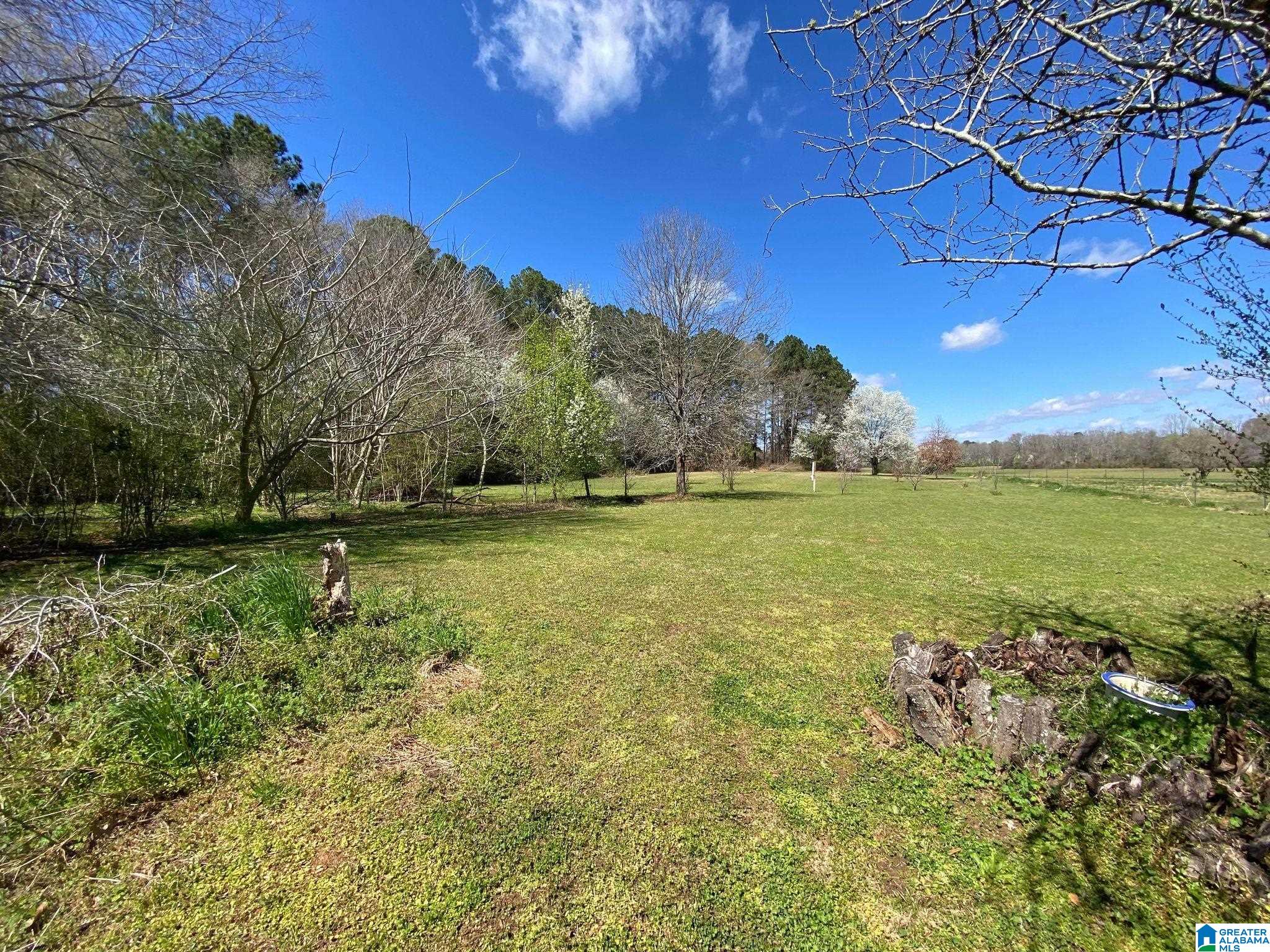 2160 Tanyard Road Harpersville, AL 35078 - Photo 10 of 36