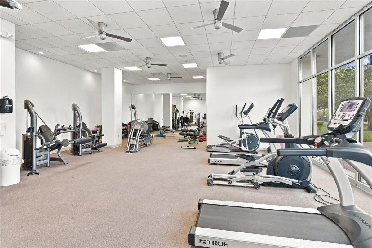 655 Riverside Drive, Unit 608B Memphis, TN 38103 - Photo 22 of 28 Open-plan fitness area featuring floor-to-ceiling windows, multiple ceiling fans, recessed lighting, and carpet flooring