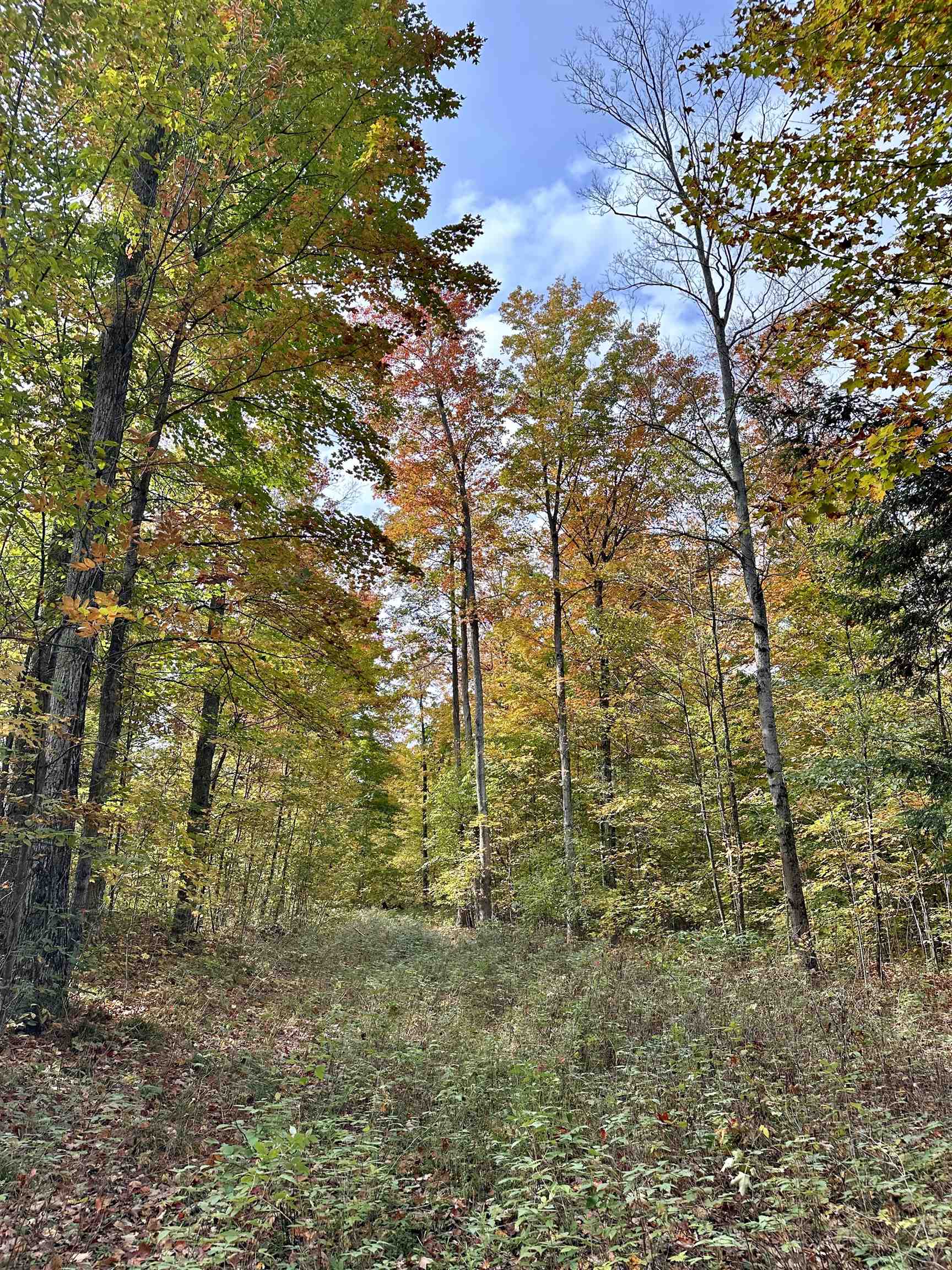 1306 South Weldon Road Beulah, MI 49617 - Photo 13 of 28