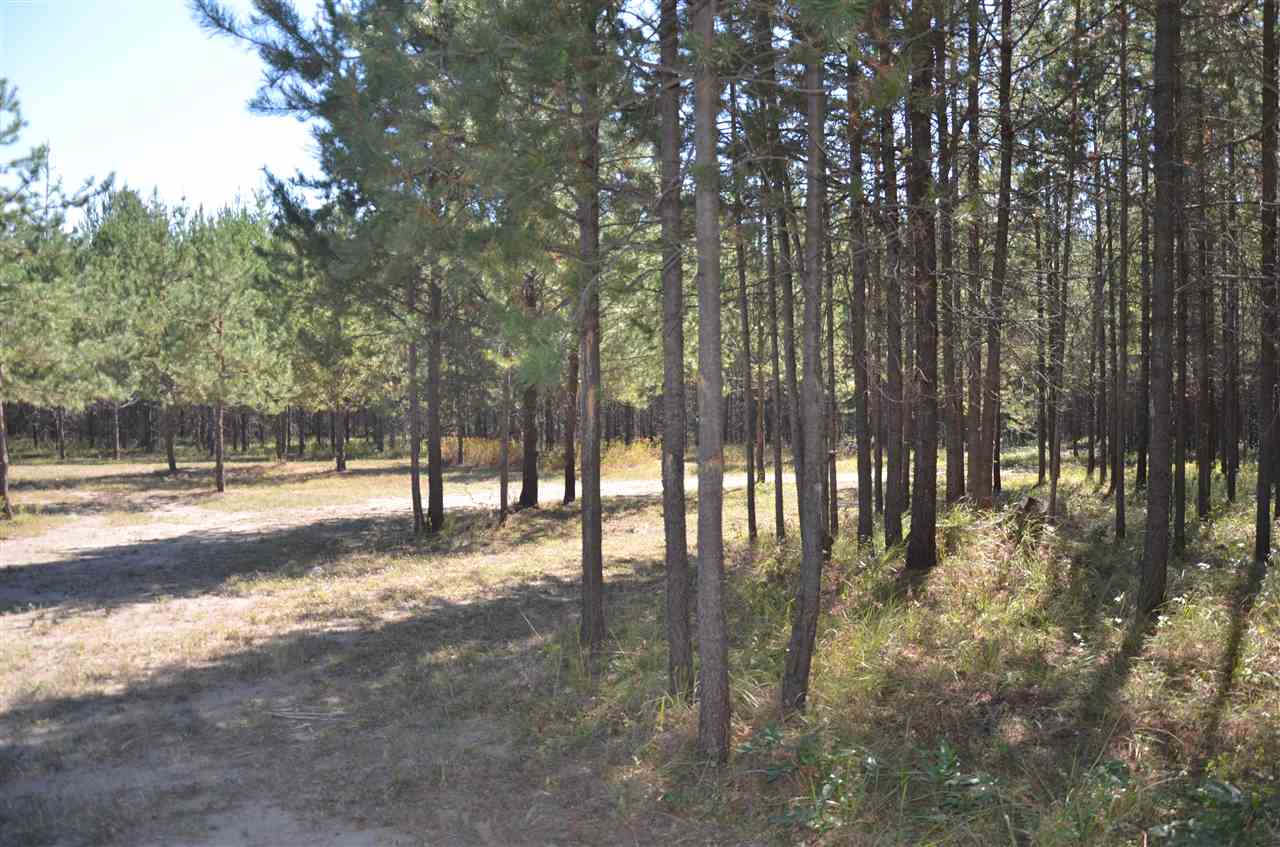 121 Stateline Road North Newport, WA 99156 - Photo 7 of 13 Gallery Image 7
