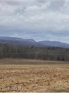 $85,500 | L15 Old Sharon Road, Canajoharie, NY 13317