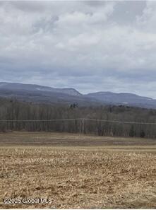 L15 Old Sharon Road Canajoharie, NY 13317 - Photo 2 of 10 IMG_7664