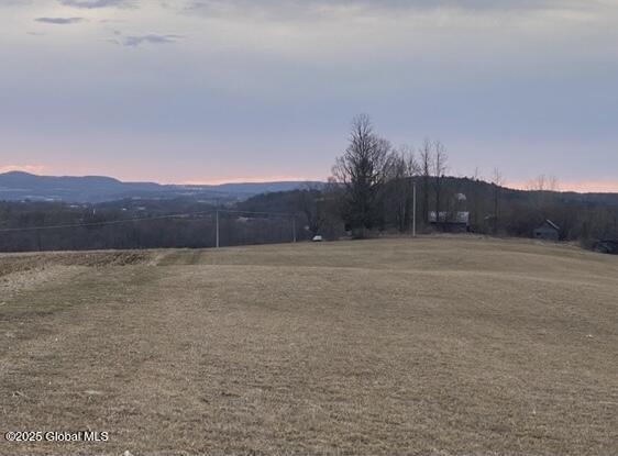 L15 Old Sharon Road Canajoharie, NY 13317 - Photo 3 of 10 IMG_7668