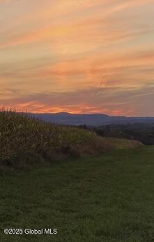 L15 Old Sharon Road Canajoharie, NY 13317 - Photo 4 of 10 IMG_7663