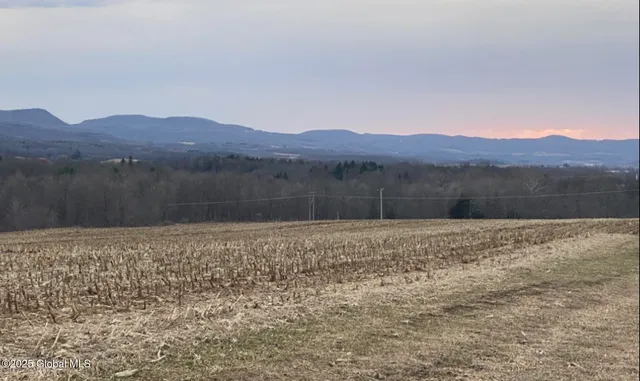 $85,500 | L15 Old Sharon Road, Canajoharie, NY 13317