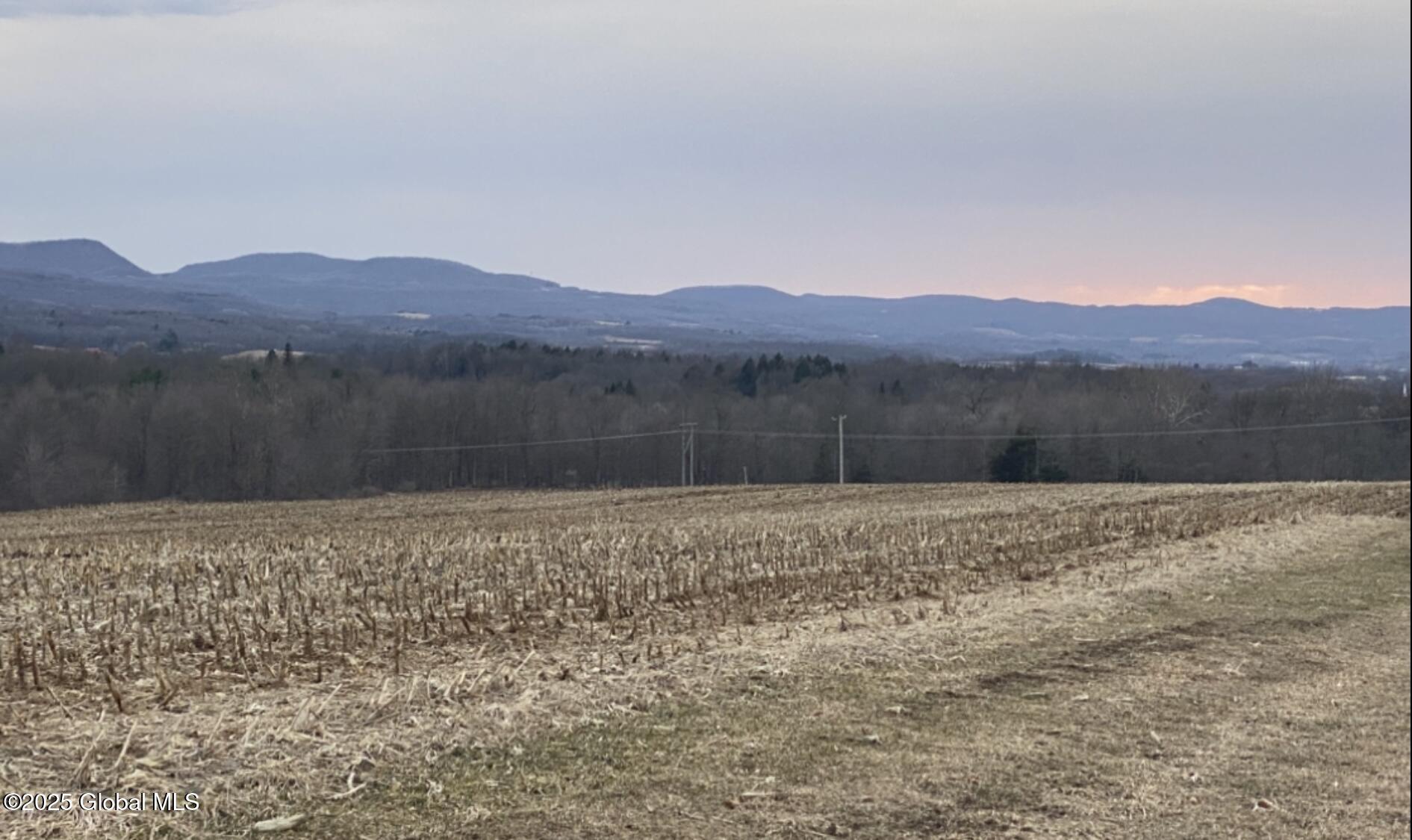 L15 Old Sharon Road Canajoharie, NY 13317 - Photo 7 of 10 IMG_7676