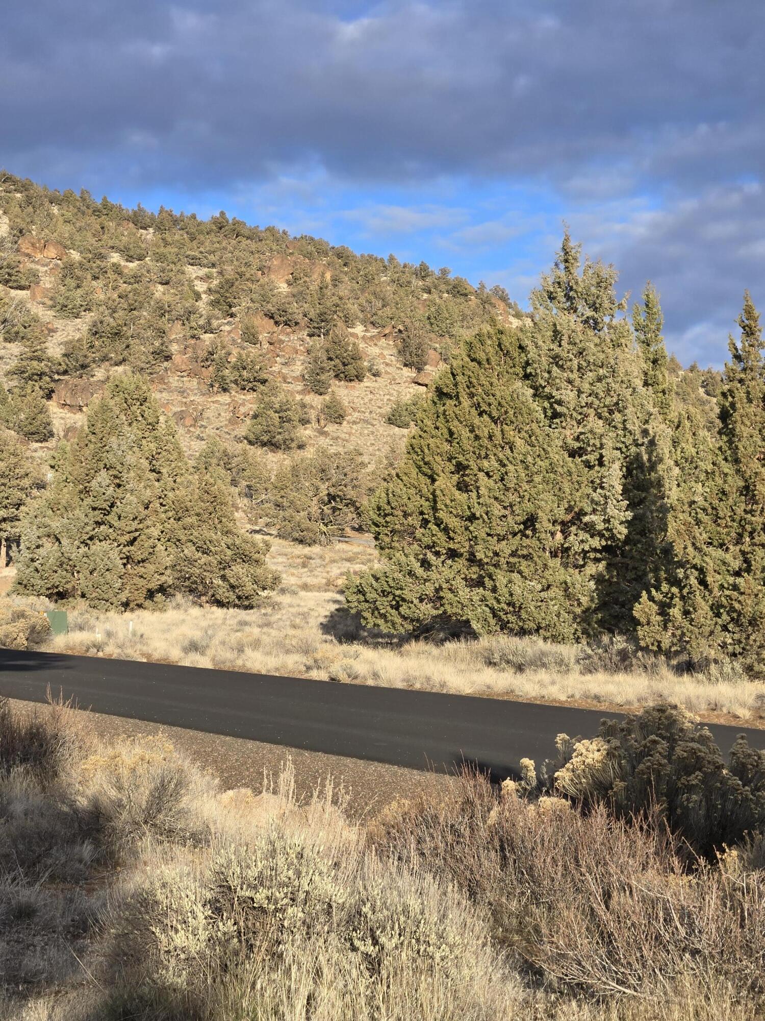 10098 Pavati Road, Unit LOT 36 Prineville, OR 97754 - Photo 5 of 13 20260211_162520