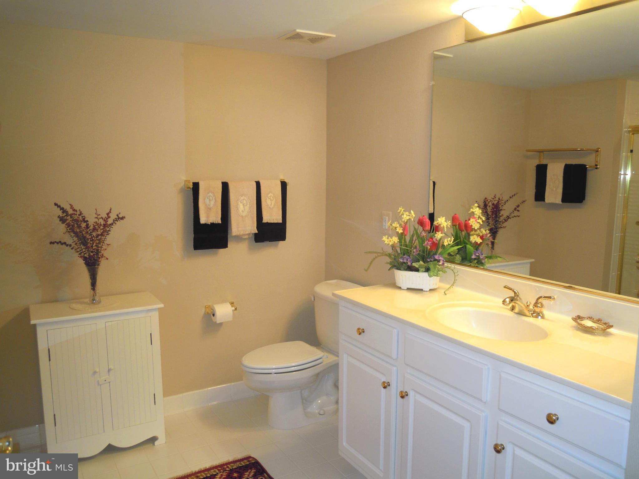 12300 Rosslare Ridge Road, Unit 401 Lutherville-Timonium, MD 21093 - Photo 15 of 30 Bath