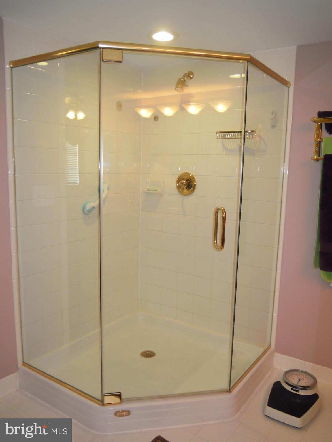 12300 Rosslare Ridge Road, Unit 401 Lutherville-Timonium, MD 21093 - Photo 19 of 30 Lovely frameless Shower-2 yr young!