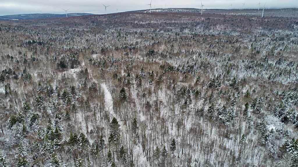 Lot 14 Mountain Road Houlton, ME 04730 - Photo 65 of 75 land-maine-off-grid-drews-l