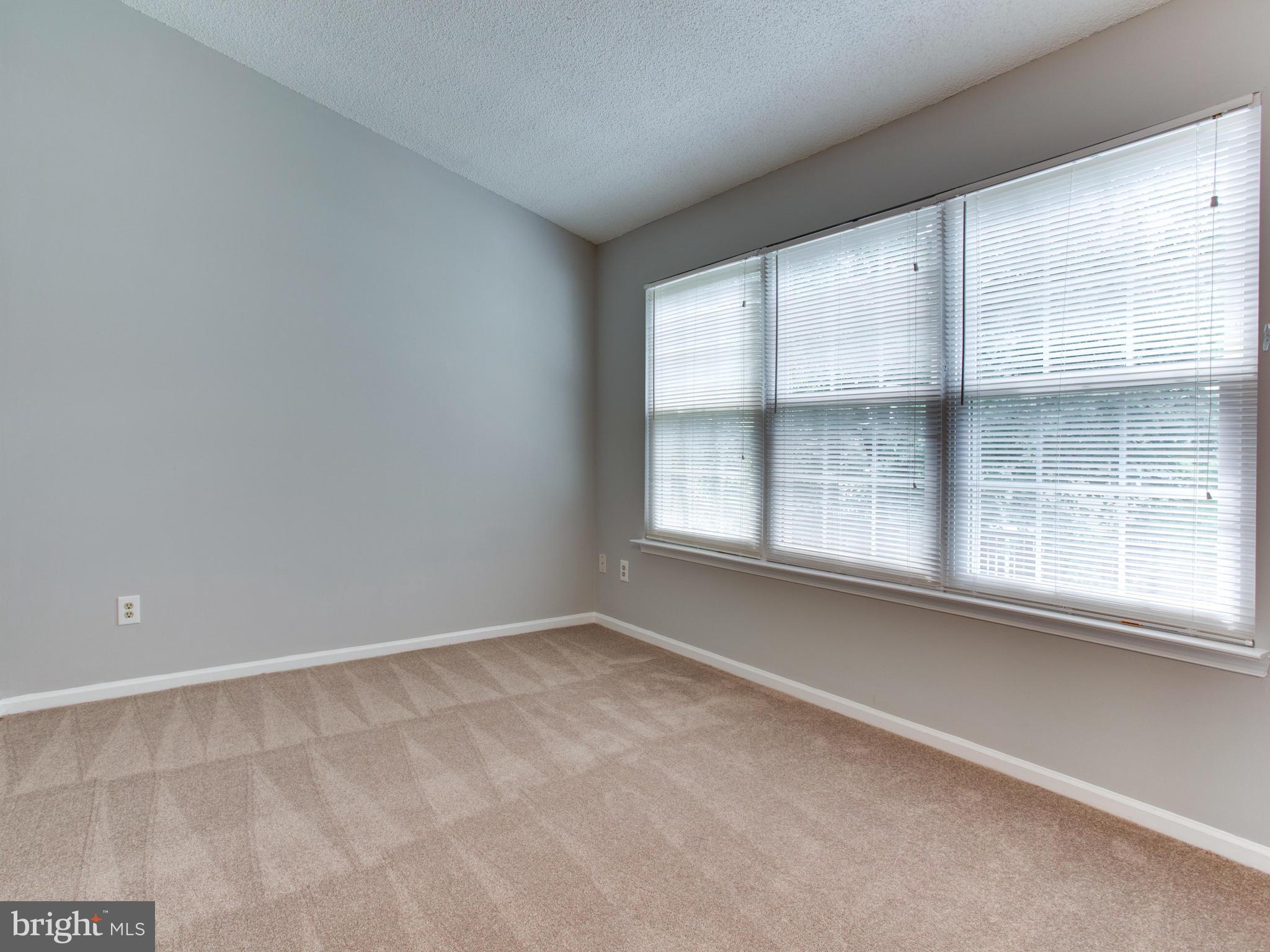 14775 Basingstoke Loop Centreville, VA 20120 - Photo 14 of 21 an empty room with a window