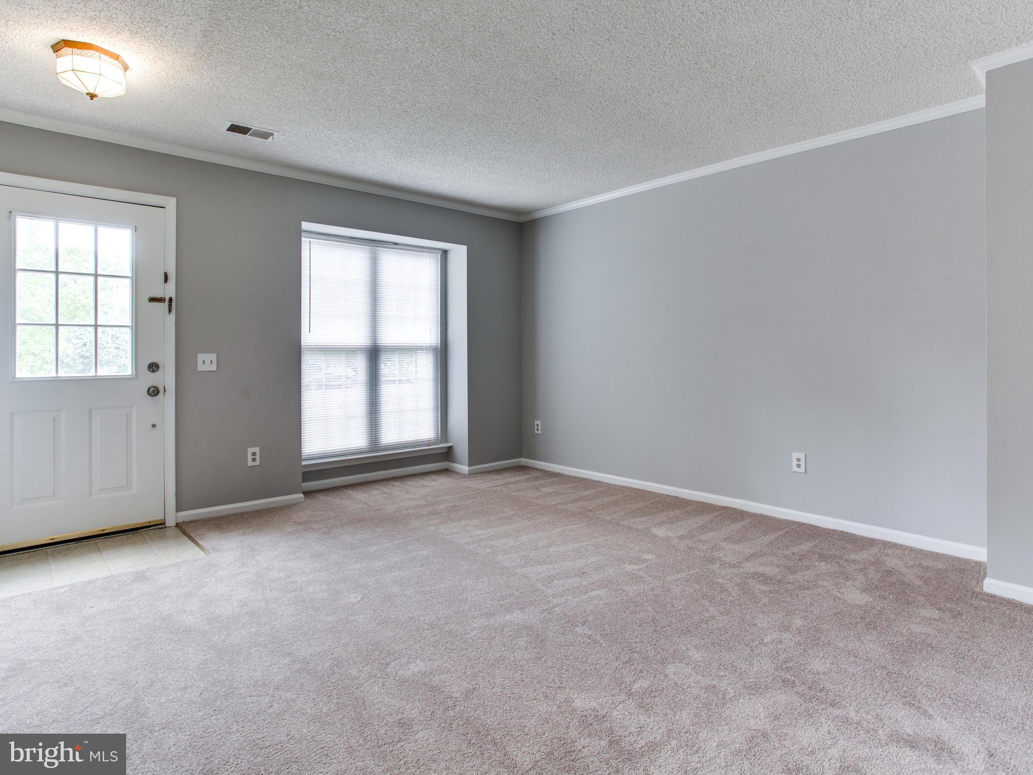 14775 Basingstoke Loop Centreville, VA 20120 - Photo 5 of 21 an empty room with windows