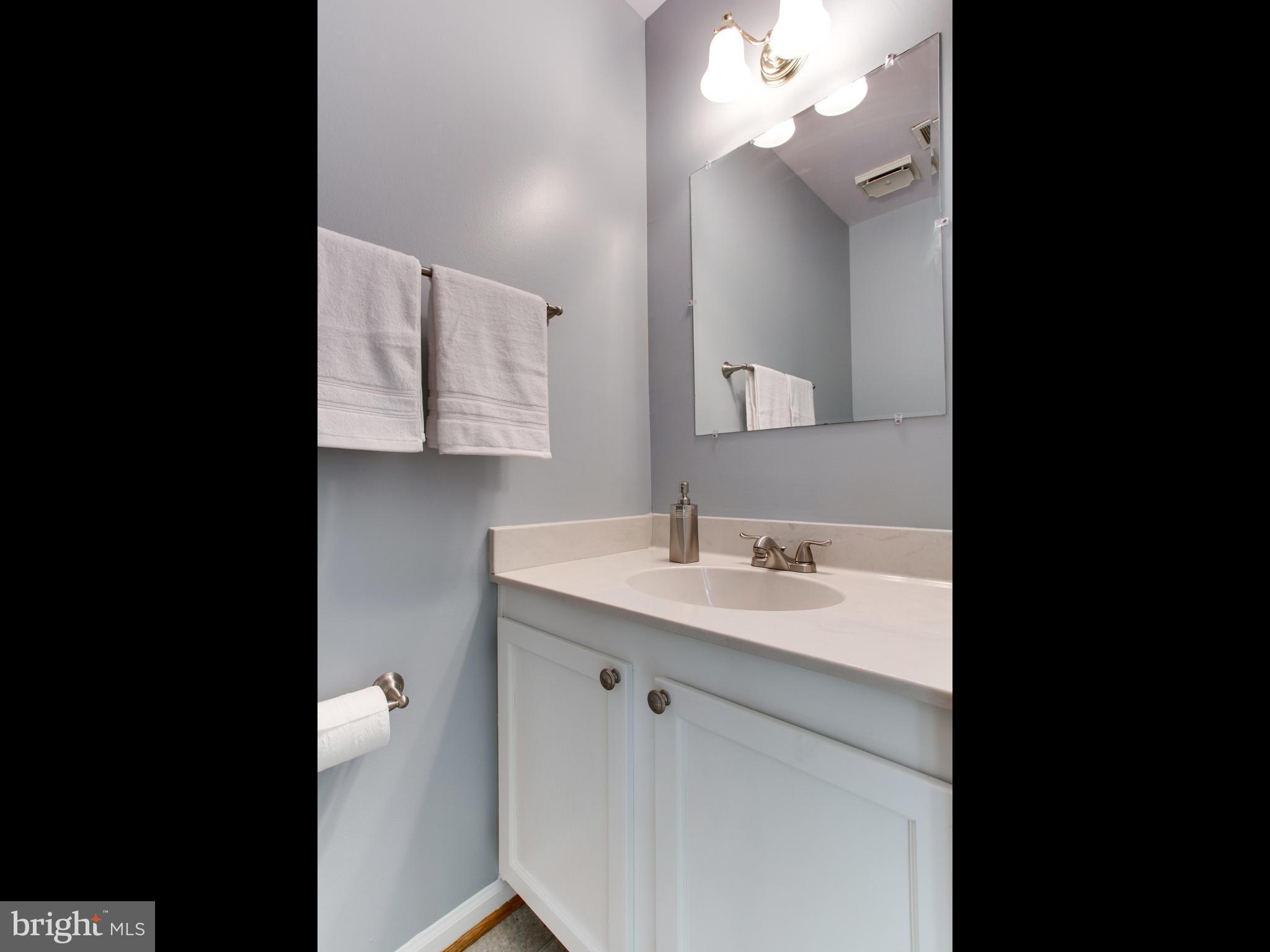 14775 Basingstoke Loop Centreville, VA 20120 - Photo 10 of 21 a en suite bathroom with a sink and a mirror