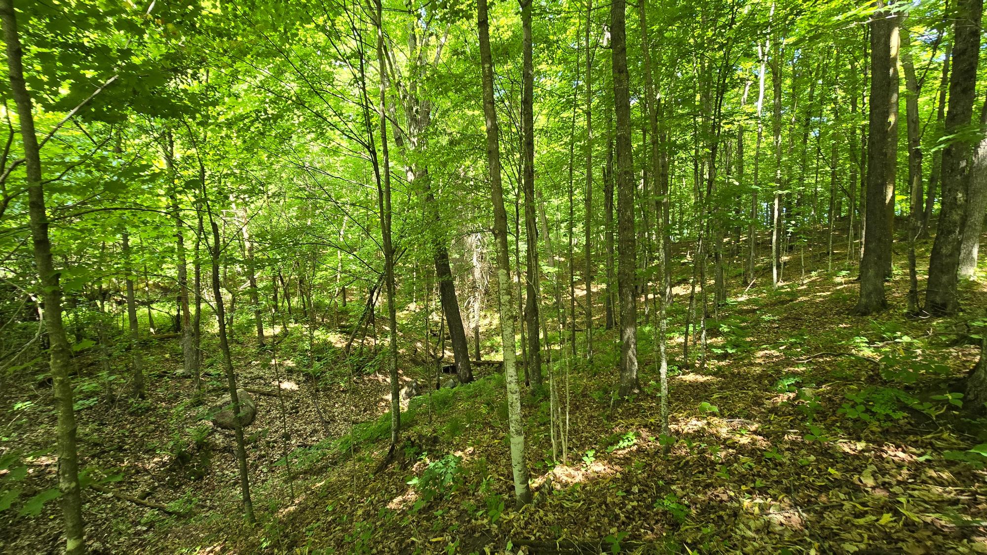 On Edison Road Bryant, WI 54418 - Photo 6 of 9 Gallery Image 6