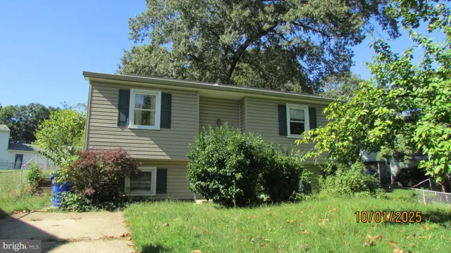 a view of a house with a yard and plants