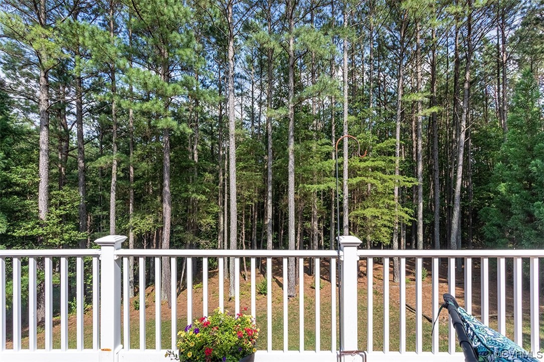 11570 Royal Lane Providence Forge, VA 23140 - Photo 44 of 49 a view of a chair and trees