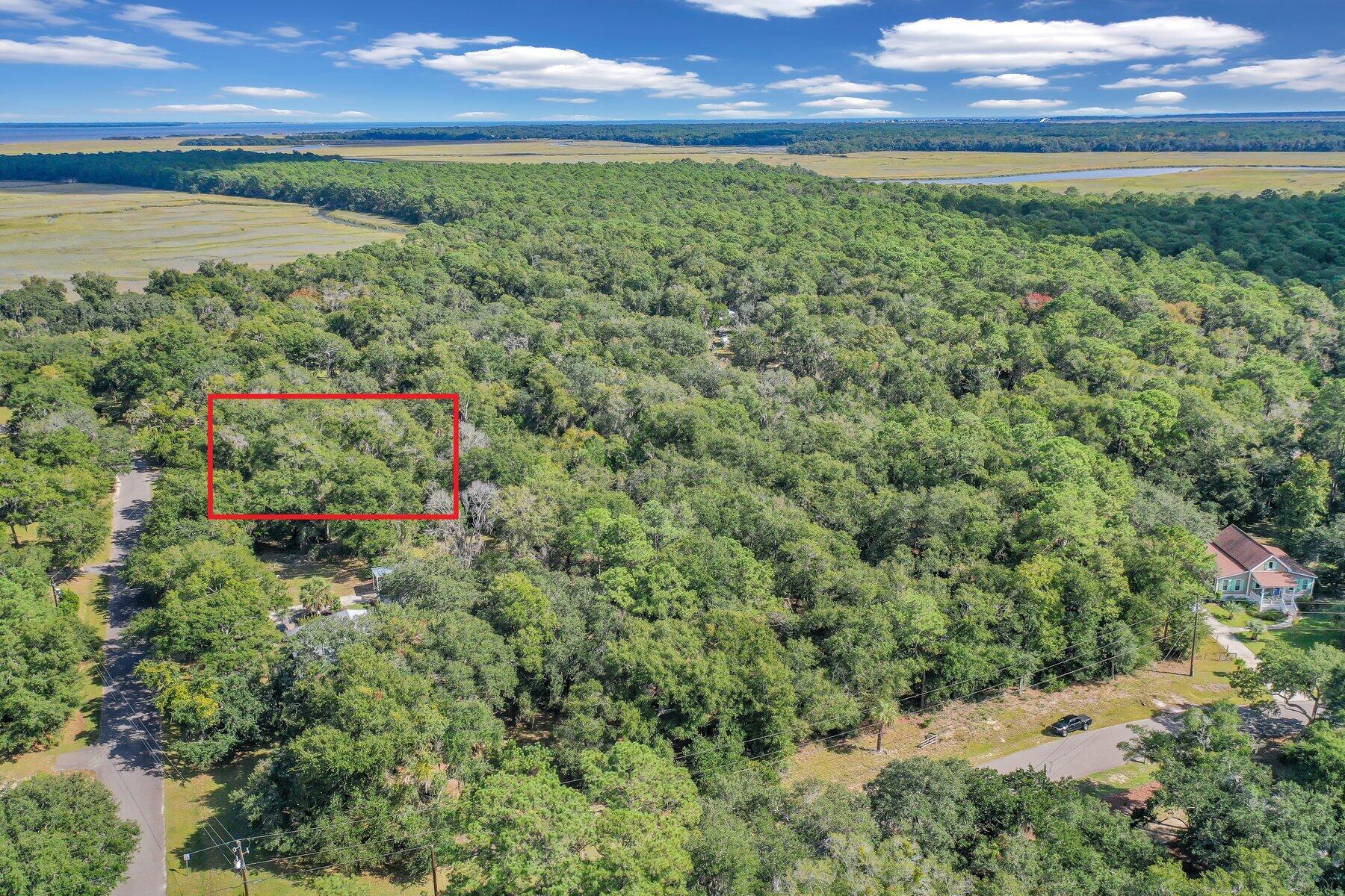 42 Cusabo Road St. Helena Island, SC 29920 - Photo 2 of 28 Overhead2