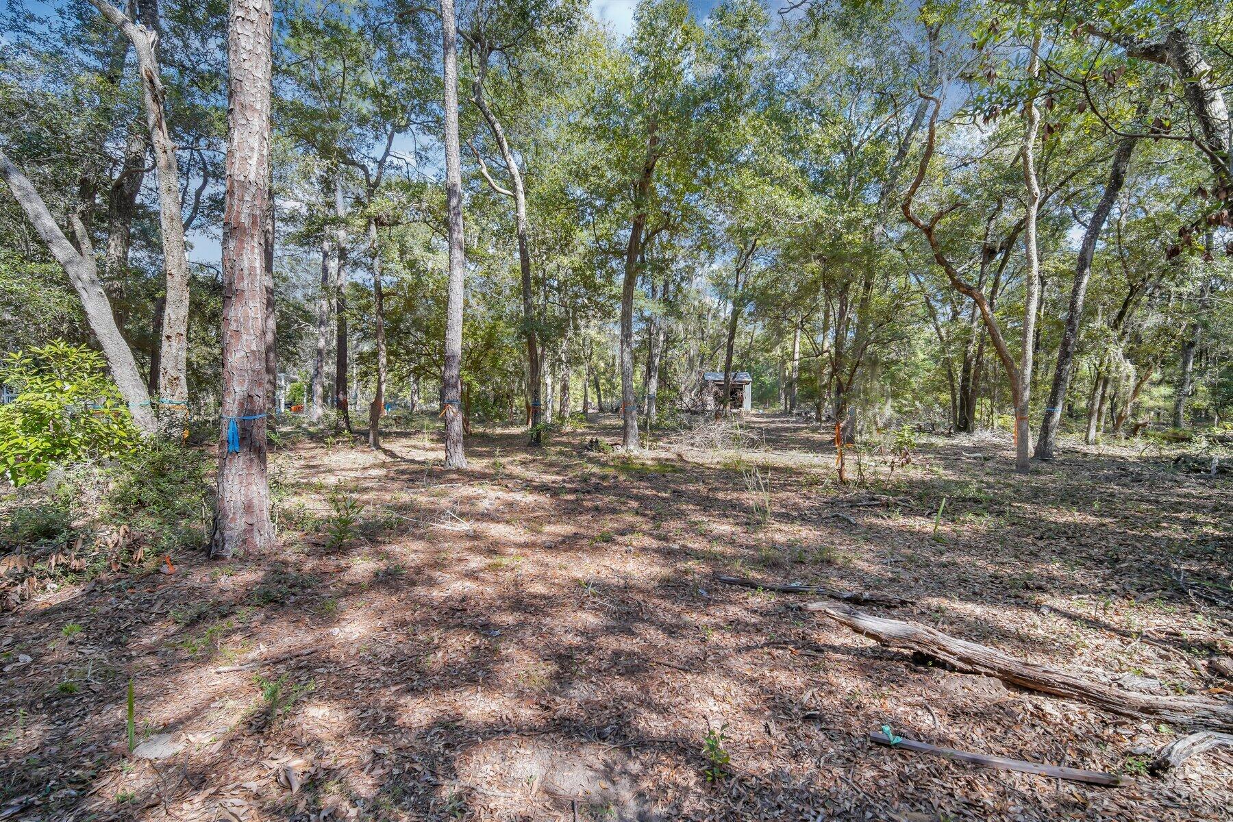 42 Cusabo Road St. Helena Island, SC 29920 - Photo 11 of 28 Ground Level View4