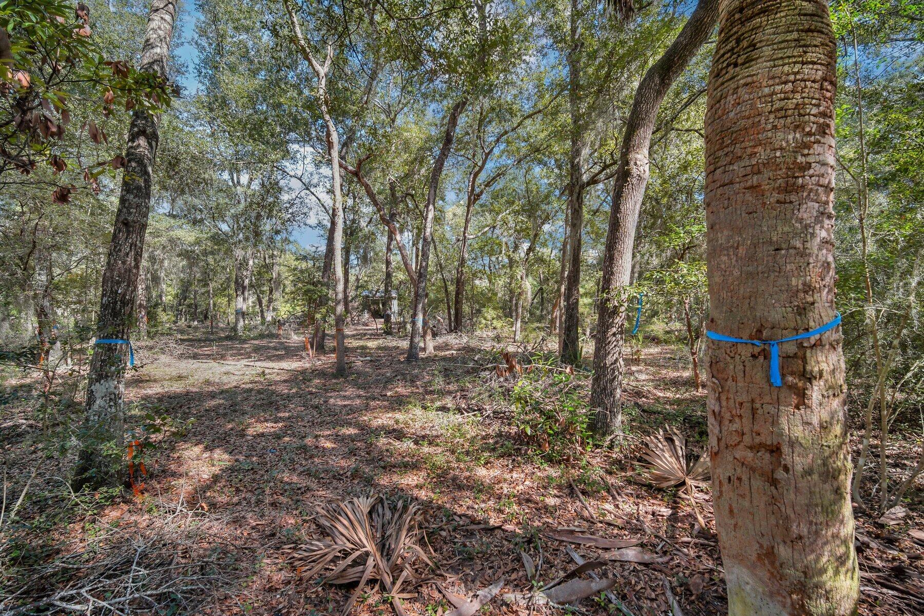 42 Cusabo Road St. Helena Island, SC 29920 - Photo 12 of 28 Ground Level View5