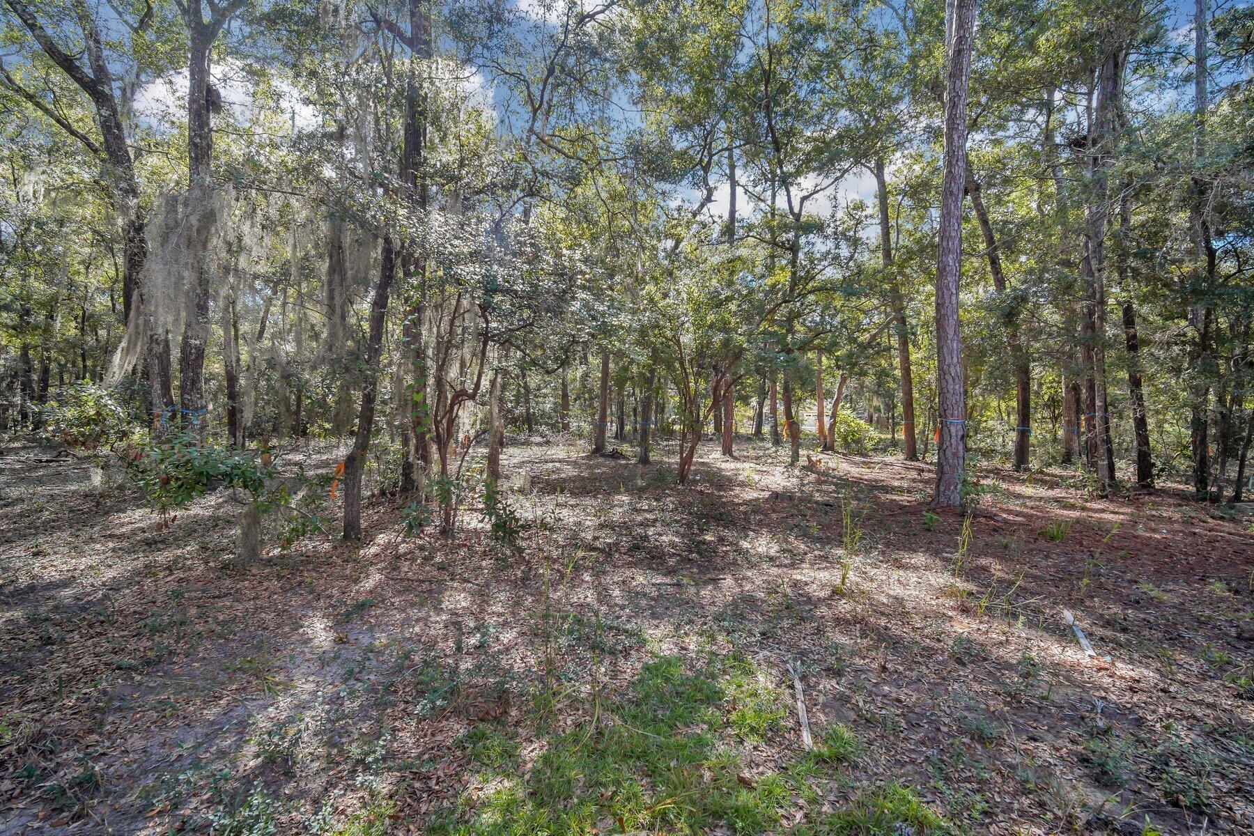 42 Cusabo Road St. Helena Island, SC 29920 - Photo 13 of 28 Ground Level View6