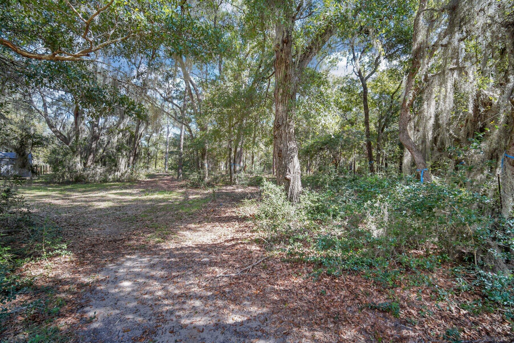 42 Cusabo Road St. Helena Island, SC 29920 - Photo 8 of 28 Ground Level View