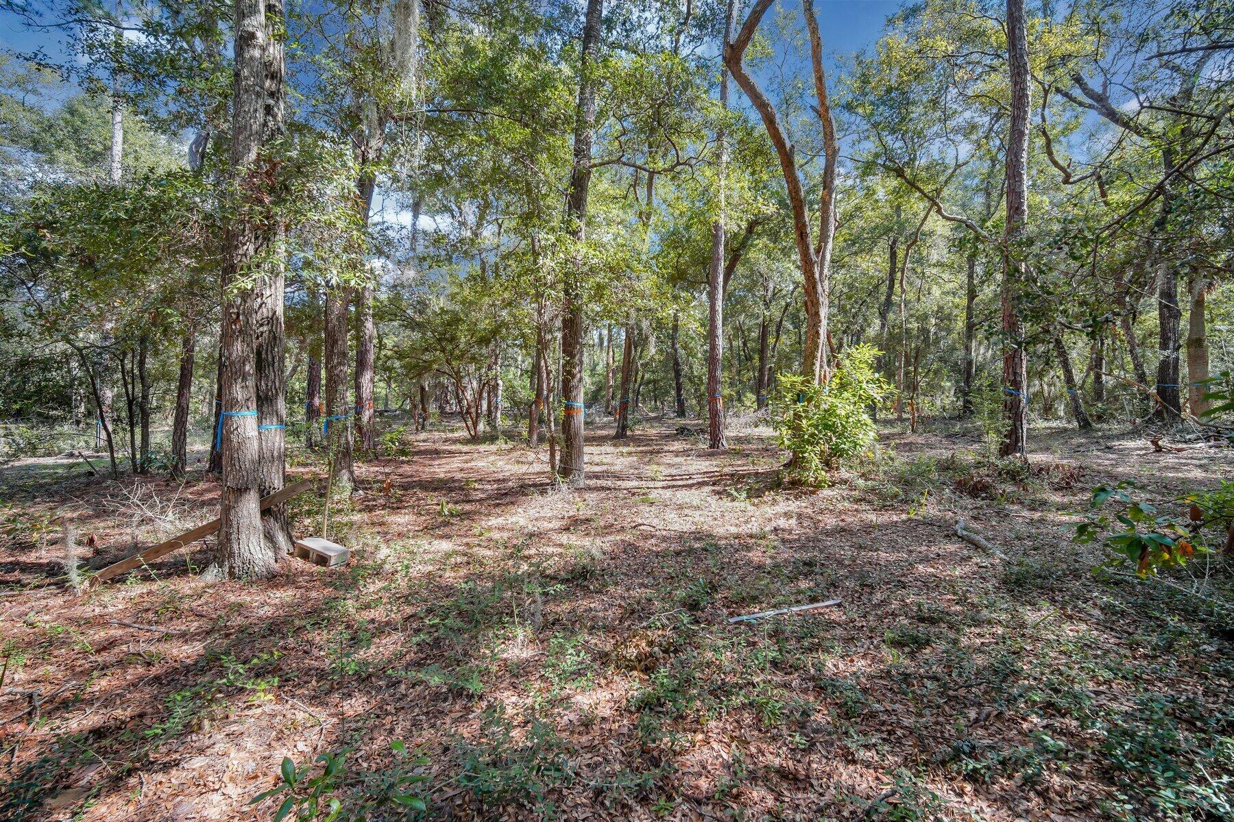 42 Cusabo Road St. Helena Island, SC 29920 - Photo 10 of 28 Ground Level View3