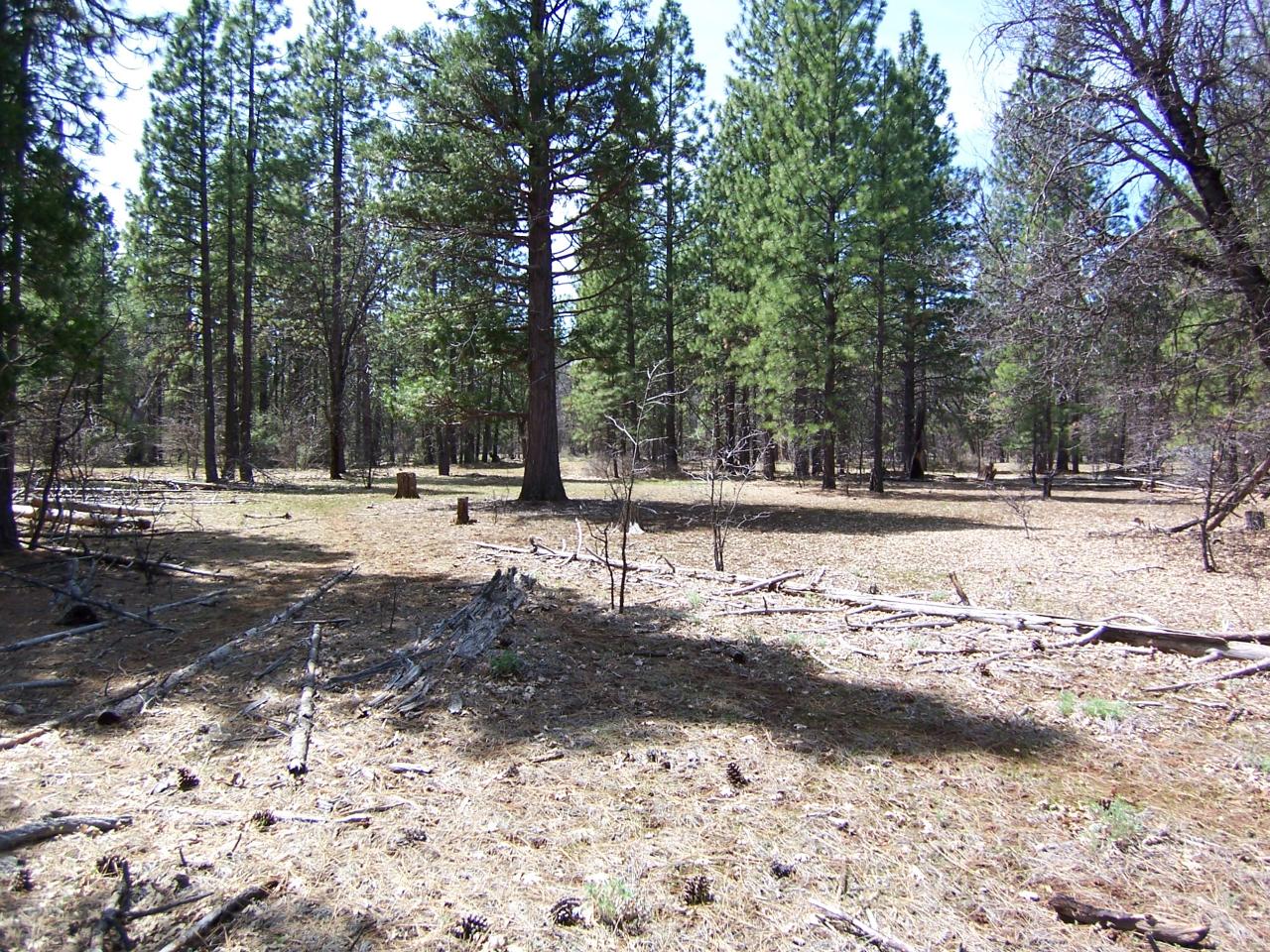 Lot 2 Old Brown Ranch Road McArthur, CA 96056 - Photo 1 of 6 Property 1