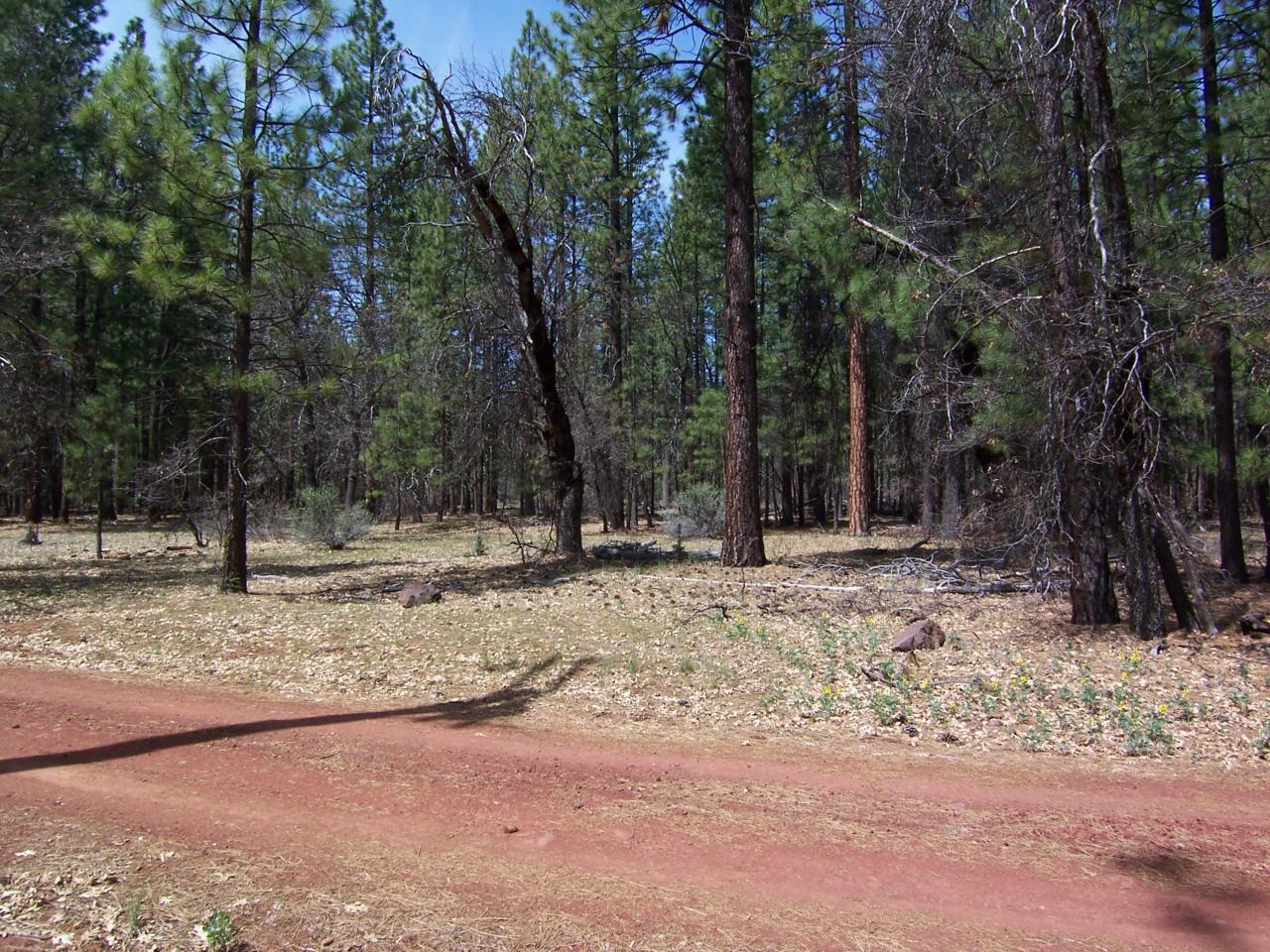 Lot 2 Old Brown Ranch Road McArthur, CA 96056 - Photo 3 of 6 3