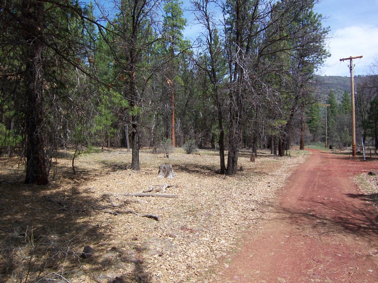 Lot 2 Old Brown Ranch Road McArthur, CA 96056 - Photo 4 of 6 4