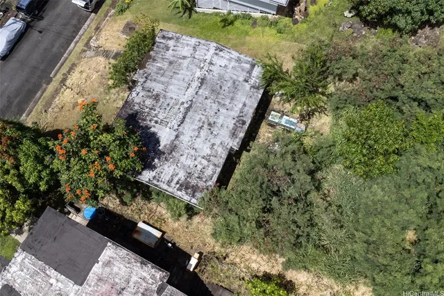 a view of a yard with plants