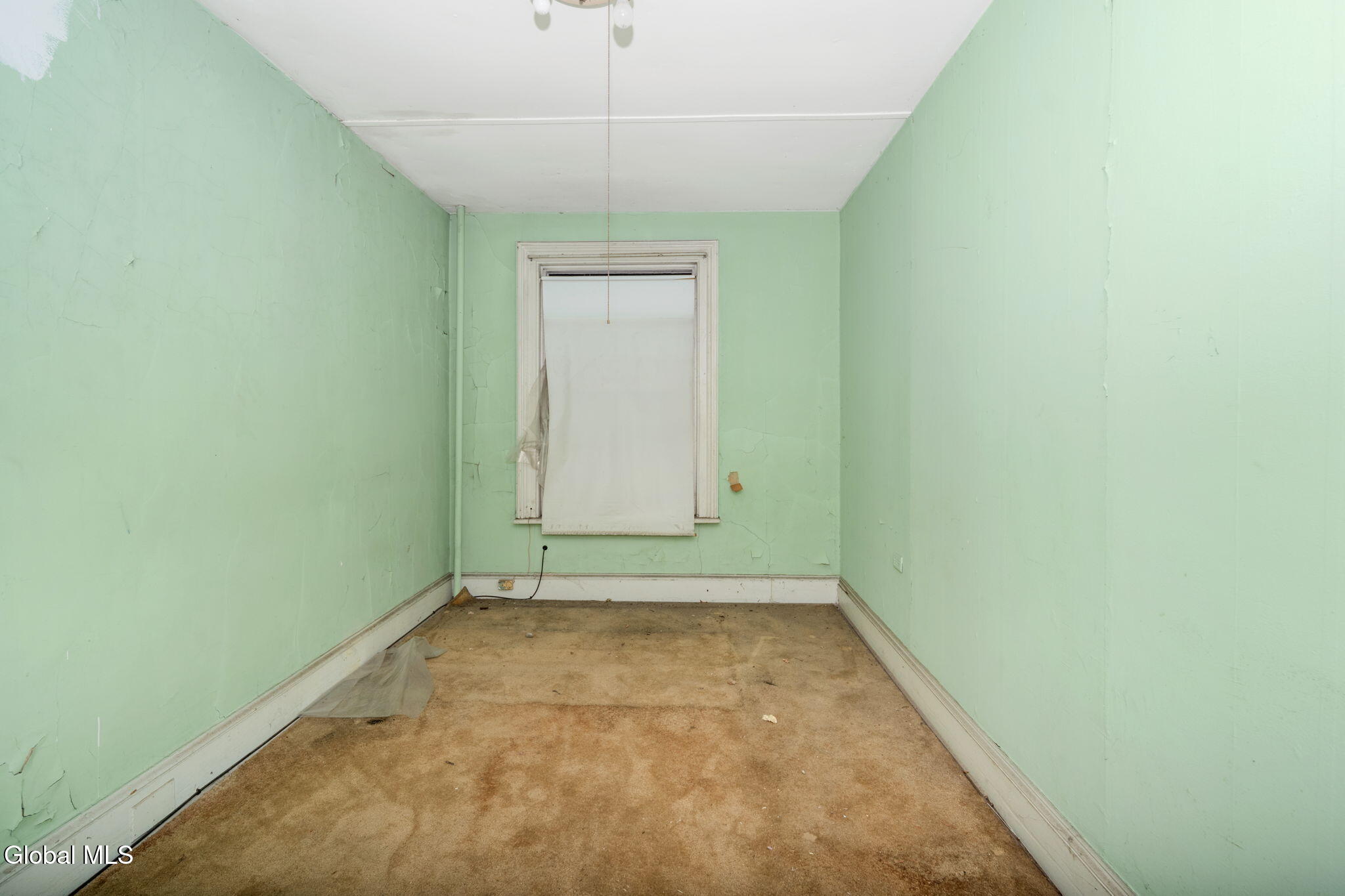 93 Ten Broeck Street Albany, NY 12210 - Photo 59 of 95 59-93TenBroeckSt_59