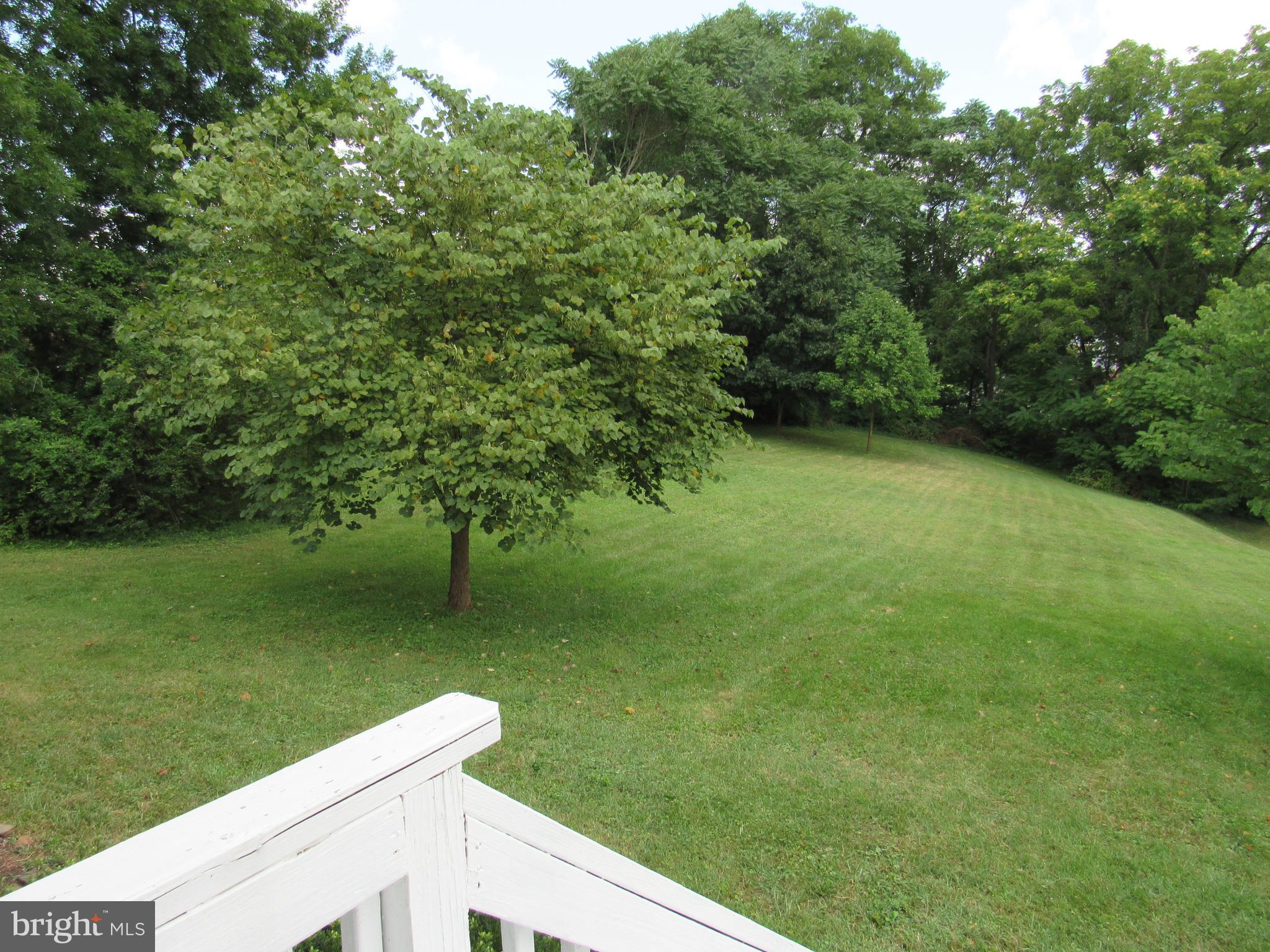 328 Spring Street Culpeper, VA 22701 - Photo 20 of 20 Gallery Image 20
