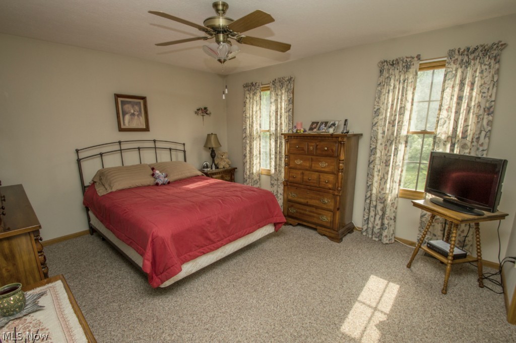 4859 Richman Road Litchfield, OH 44253 - Photo 15 of 25 Gallery Image 15