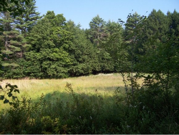 16 Neal Mill Road Newmarket, NH 03857 - Photo 1 of 1